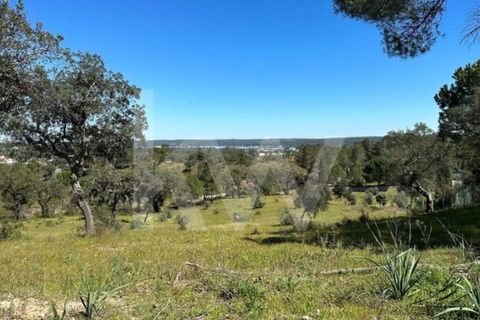 Terra a Montargil, Portalegre, Montargil - € 98.000 | Ref: 1204-3708 - foto 6