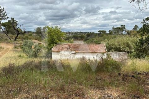 Terra a Montargil, Portalegre, Montargil - € 98.000 | Ref: 1204-3708 - foto 7