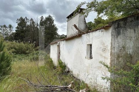 Terra a Montargil, Portalegre, Montargil - € 98.000 | Ref: 1204-3708 - foto 8