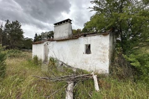 Terra a Montargil, Portalegre, Montargil - € 98.000 | Ref: 1204-3708 - foto 9