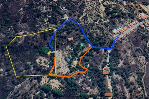 Terra a Montargil, Portalegre, Montargil - € 98.000 | Ref: 1204-3708 - foto 10