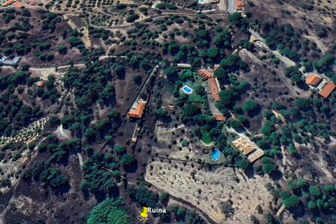 Terra a Montargil, Portalegre, Montargil - € 98.000 | Ref: 1204-3708 - foto 14