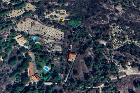 Terra a Montargil, Portalegre, Montargil - € 98.000 | Ref: 1204-3708 - foto 15