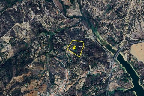 Terra a Montargil, Portalegre, Montargil - € 98.000 | Ref: 1204-3708 - foto 16