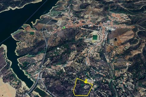 Terra a Montargil, Portalegre, Montargil - € 98.000 | Ref: 1204-3708 - foto 17