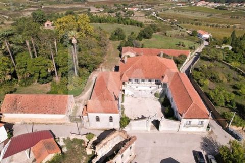 Villa i Anadia, Aveiro, Anadia - € 3.200.000 | Ref: 1204-4020 - foto 2