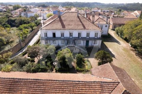 Villa i Anadia, Aveiro, Anadia - € 3.200.000 | Ref: 1204-4020 - foto 3