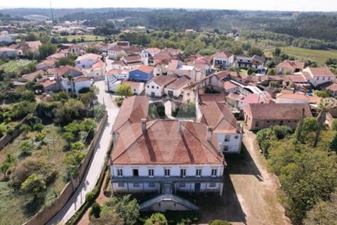 Villa i Anadia, Aveiro, Anadia - € 3.200.000 | Ref: 1204-4020 - foto 4