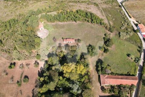 Villa i Anadia, Aveiro, Anadia - € 3.200.000 | Ref: 1204-4020 - foto 6