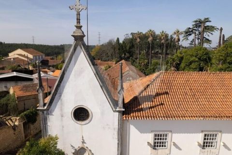 Villa i Anadia, Aveiro, Anadia - € 3.200.000 | Ref: 1204-4020 - foto 7