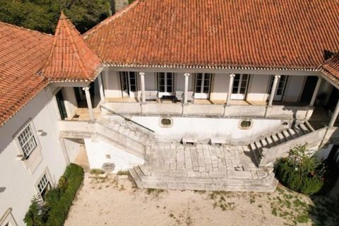 Villa i Anadia, Aveiro, Anadia - € 3.200.000 | Ref: 1204-4020 - foto 8