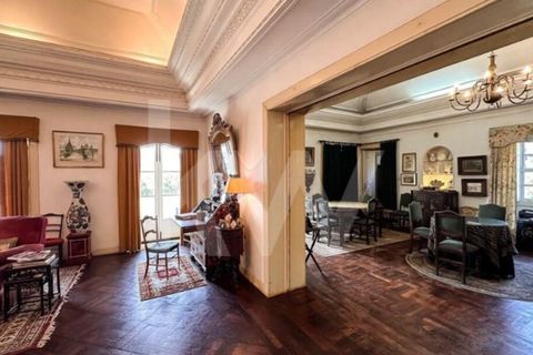 Villa i Anadia, Aveiro, Anadia - € 3.200.000 | Ref: 1204-4020 - foto 16