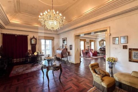 Villa i Anadia, Aveiro, Anadia - € 3.200.000 | Ref: 1204-4020 - foto 21