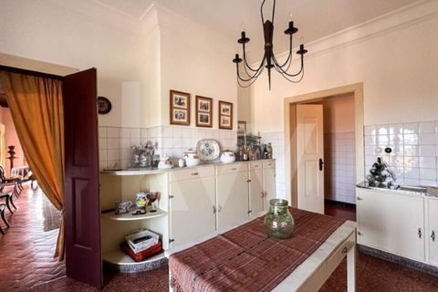 Villa i Anadia, Aveiro, Anadia - € 3.200.000 | Ref: 1204-4020 - foto 35