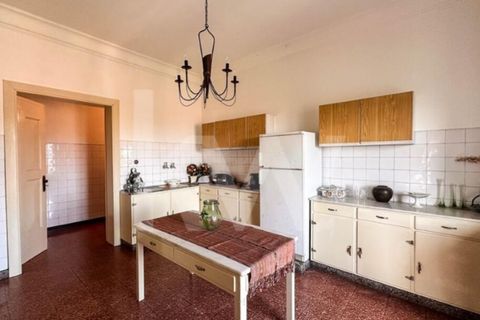 Villa i Anadia, Aveiro, Anadia - € 3.200.000 | Ref: 1204-4020 - foto 39
