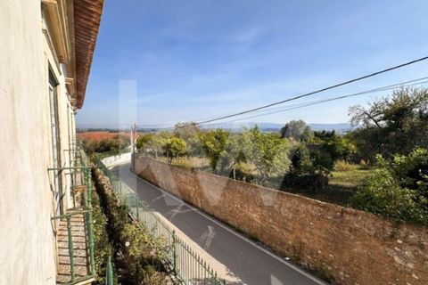 Villa i Anadia, Aveiro, Anadia - € 3.200.000 | Ref: 1204-4020 - foto 49