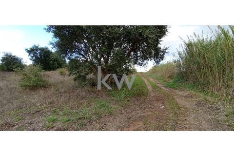 Helårsgrund i Torres Vedras, Lisbon, Torres Vedras - € 27.500 | Ref: KWPT-007873 - foto 2