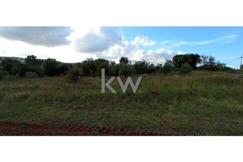Helårsgrund i Torres Vedras, Lisbon, Torres Vedras - € 27.500 | Ref: KWPT-007873 - foto 3