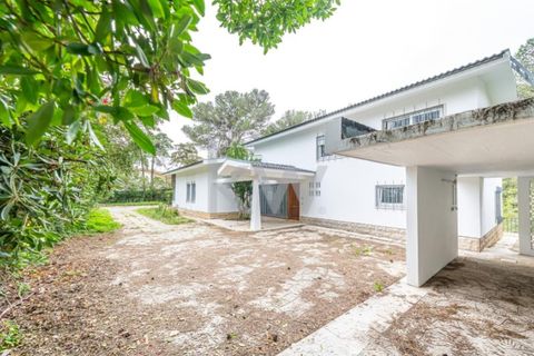 Villa a Cascais, Lisbon, Cascais - € 8.000/mes | Ref: KWPT-008252 - foto 38