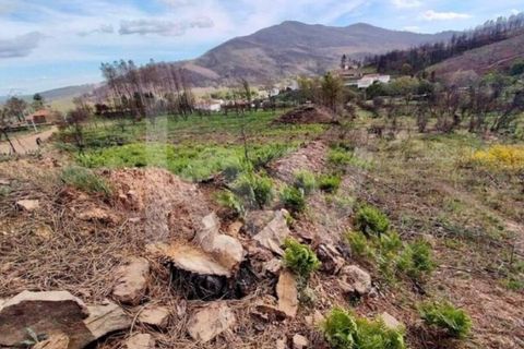 Helårsgrund i Valhelhas, Guarda, Valhelhas - € 17.000 | Ref: 1204-3667 - foto 6