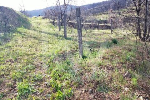 Helårsgrund i Valhelhas, Guarda, Valhelhas - € 52.000 | Ref: 1204-3654 - foto 4