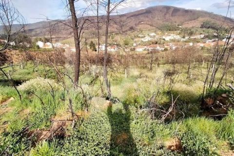 Helårsgrund i Valhelhas, Guarda, Valhelhas - € 52.000 | Ref: 1204-3654 - foto 8