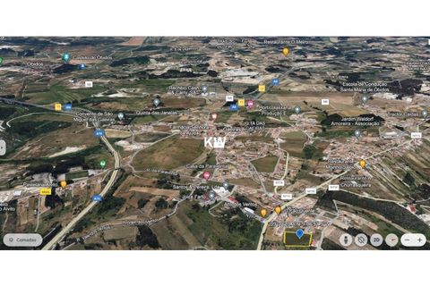 Terra a Gaeiras, Leiria, Gaeiras - € 650.000 | Ref: KWPT-000882 - foto 8