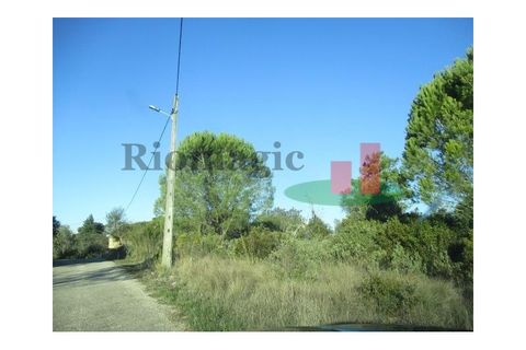 Helårsgrund i Tomar, Santarem, Tomar - € 100.000 | Ref: 386.21 - foto 1