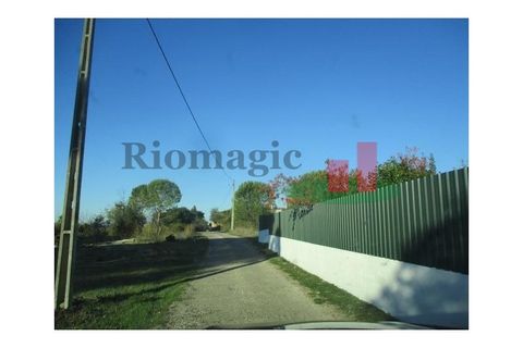 Helårsgrund i Tomar, Santarem, Tomar - € 100.000 | Ref: 386.21 - foto 2