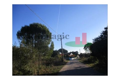 Helårsgrund i Tomar, Santarem, Tomar - € 100.000 | Ref: 386.21 - foto 3