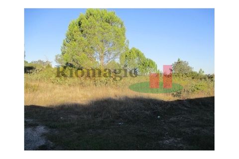 Helårsgrund i Tomar, Santarem, Tomar - € 100.000 | Ref: 386.21 - foto 4