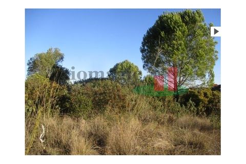 Helårsgrund i Tomar, Santarem, Tomar - € 100.000 | Ref: 386.21 - foto 5