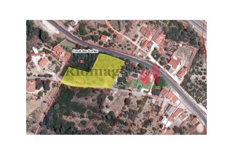 Helårsgrund i Tomar, Santarem, Tomar - € 100.000 | Ref: 386.21 - foto 6