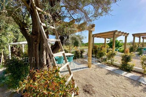 Farm i Tavira, Faro, Tavira - € 2.100.000 | Ref: M0385.BG.ES - foto 6
