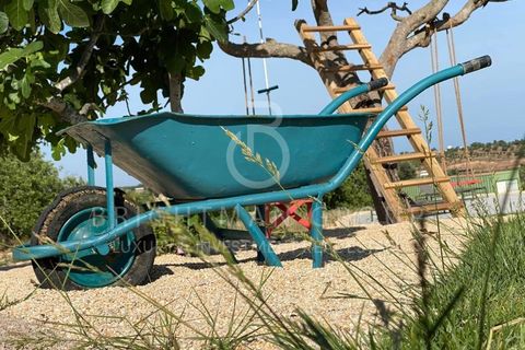 Farm i Tavira, Faro, Tavira - € 2.100.000 | Ref: M0385.BG.ES - foto 11