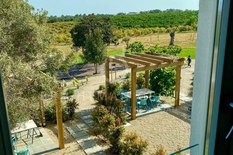 Farm i Tavira, Faro, Tavira - € 2.100.000 | Ref: M0385.BG.ES - foto 16