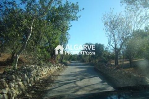 Helårsgrund i Algoz, Faro, Algoz - € 350.000 | Ref: TC206794J - foto 2