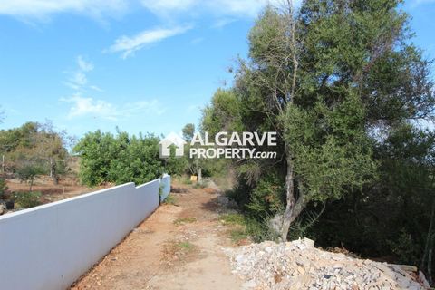 Helårsgrund i Algoz, Faro, Algoz - € 350.000 | Ref: TC206794J - foto 10
