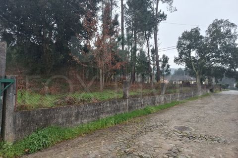 Helårsgrund i Valenca, Viana do Castelo, Valenca - € 100.000 | Ref: F1-01-179 - foto 3