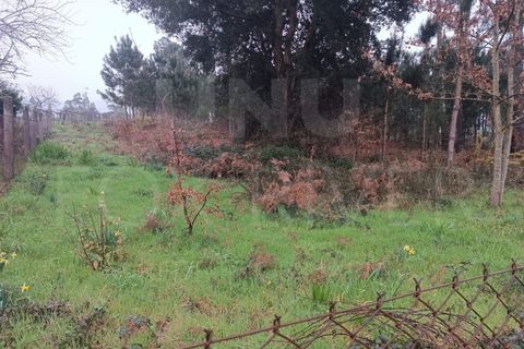 Helårsgrund i Valenca, Viana do Castelo, Valenca - € 100.000 | Ref: F1-01-179 - foto 4