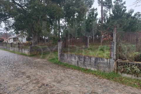 Helårsgrund i Valenca, Viana do Castelo, Valenca - € 100.000 | Ref: F1-01-179 - foto 5