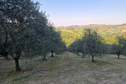 Helårsgrund i Cesena, Forli-Cesena, Cesena - € 128.000 | Ref: 2262 - foto 3