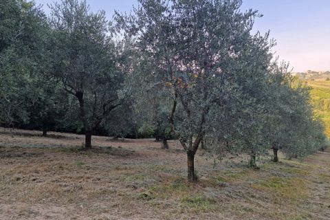 Helårsgrund i Cesena, Forli-Cesena, Cesena - € 128.000 | Ref: 2262 - foto 4