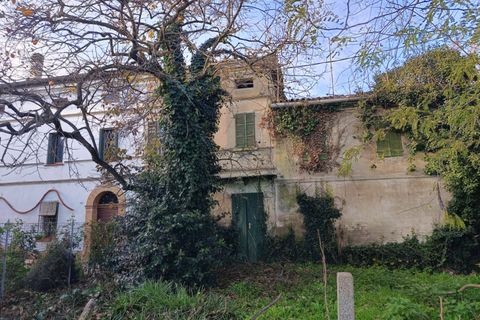 Villa a Ravenna, Ravenna, Ravenna - € 66.000 | Ref: 2284 - foto 6