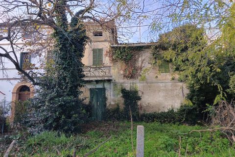 Villa a Ravenna, Ravenna, Ravenna - € 66.000 | Ref: 2284 - foto 7