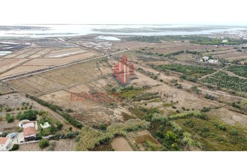 Helårsgrund i Quelfes, Faro, Quelfes - € 450.000 | Ref: 467/2024 - foto 2