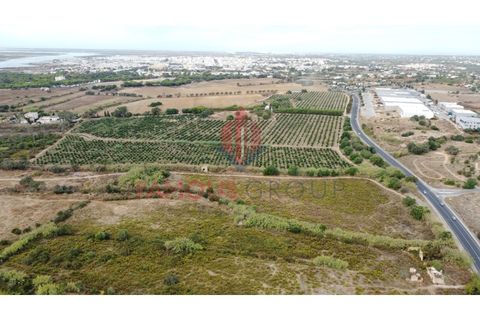Helårsgrund i Quelfes, Faro, Quelfes - € 450.000 | Ref: 467/2024 - foto 3