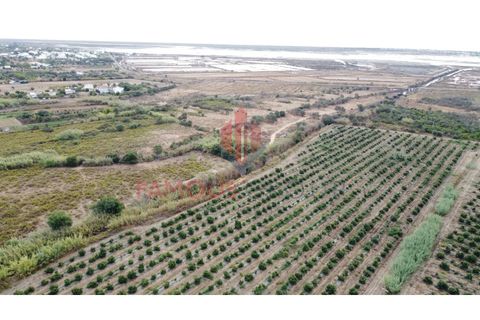 Helårsgrund i Quelfes, Faro, Quelfes - € 450.000 | Ref: 467/2024 - foto 8