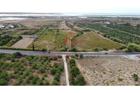 Helårsgrund i Quelfes, Faro, Quelfes - € 450.000 | Ref: 467/2024 - foto 10