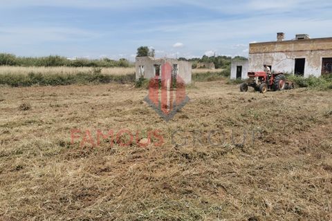 Helårsgrund i Quelfes, Faro, Quelfes - € 160.000 | Ref: 450/2024 - foto 14
